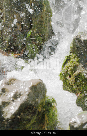 Wasser torrent in Wasserfall in den Felsen brechen Stockfoto