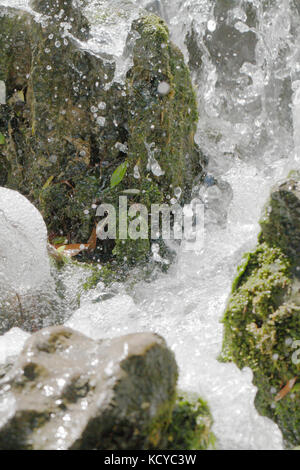 Wasser torrent in Wasserfall in den Felsen brechen Stockfoto