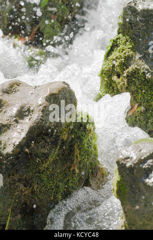 Wasser torrent in Wasserfall in den Felsen brechen Stockfoto