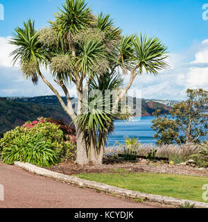 Coast Path auf der Spitze einer Klippe Promenade an der Babbacombe Downs, Torquay, Devon, Großbritannien. Suchen in Torbay, Hotels und Theater aus geschossen. Stockfoto