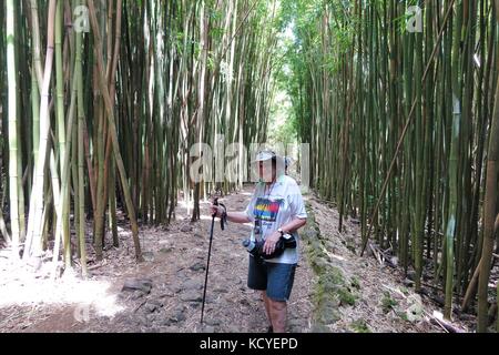 Ältere Wanderer im Bambuswald Auf der Pipiwai trail Waimoku fällt. Haleakala National Park, Maui Stockfoto