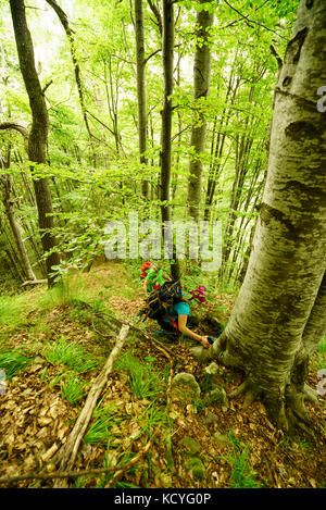 Gruppe von bergfreunde Wanderungen die grohotis Bergkette auf markierten Wanderwegen und durch einen Wald, Teil der tiefen Wildnis. Stockfoto