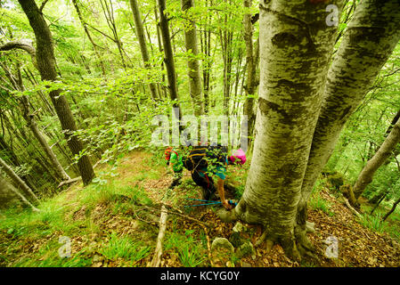 Gruppe von bergfreunde Wanderungen die grohotis Bergkette auf markierten Wanderwegen und durch einen Wald, Teil der tiefen Wildnis. Stockfoto