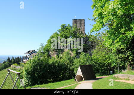 Burg Windeck bei Bühl Kappelwindeck im Schwarzwald Stockfoto