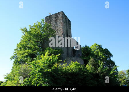 Burg Windeck bei Bühl Kappelwindeck im Schwarzwald Stockfoto