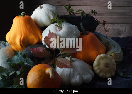 Saisonale gelbe und weiße patissons und Green squash liegen auf dem Tisch. Stockfoto
