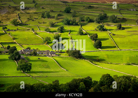 Grüne Felder und Trockenmauern auf einem Hügel in Swaledale, North Yorkshire, England. Stockfoto