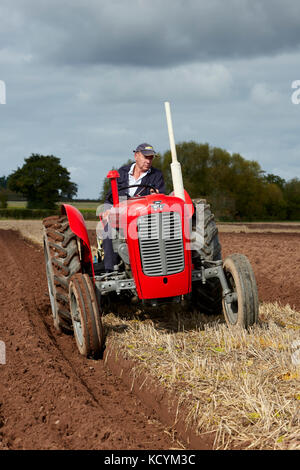 Massey Ferguson 35 X Traktor Pflügen Stoppeln Feld UK Stockfoto