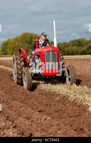 Massey Ferguson 35 X Traktor Pflügen Stoppeln Feld UK Stockfoto