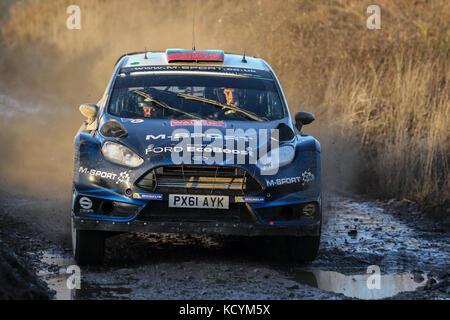 Elfyn Evans auf das Wales World Rally Championship (WRC) Rallye GB Wales, Großbritannien Stockfoto