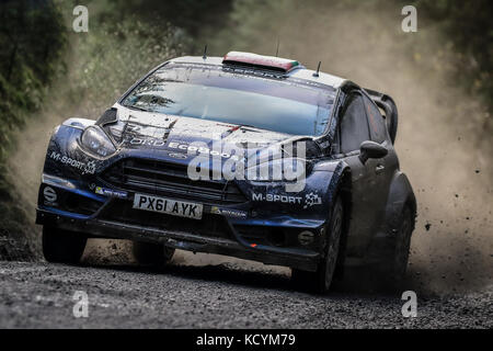 Elfyn Evans auf das Wales World Rally Championship (WRC) Rallye GB Wales, Großbritannien Stockfoto