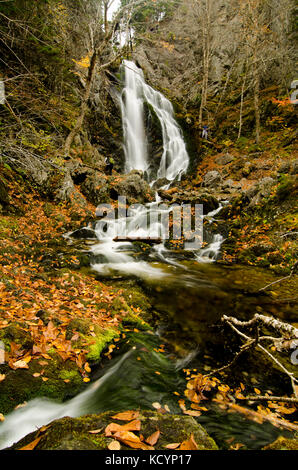 Wasserfall, Fundy National Park, Alma, New Brunswick, Kanada, fallen, Herbst Stockfoto