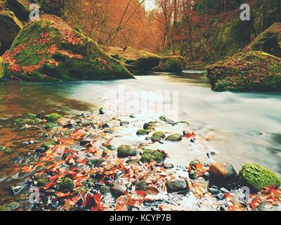 Steinerne Bank von Herbst mountain river von orange Buche Blätter abgedeckt. Frische bunte Blätter auf den Ästen über Wasser Reflexion vornehmen Stockfoto