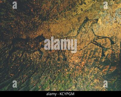 Ruß Pferde auf sandsteinmauer. Farbe von Jagd, von prähistorischen Bild. Entdeckung der prähistorischen Farbe des Pferdes in der Sandsteinhöhle. Spotlight sh Stockfoto