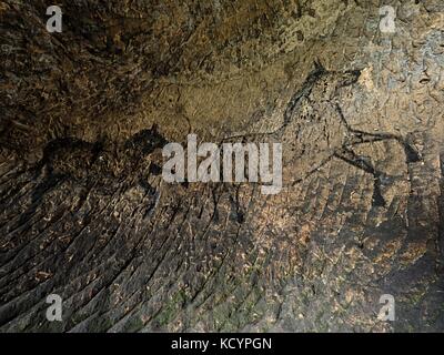 Ruß Pferde auf sandsteinmauer. Farbe von Jagd, von prähistorischen Bild. Entdeckung der prähistorischen Farbe des Pferdes in der Sandsteinhöhle. Spotlight sh Stockfoto