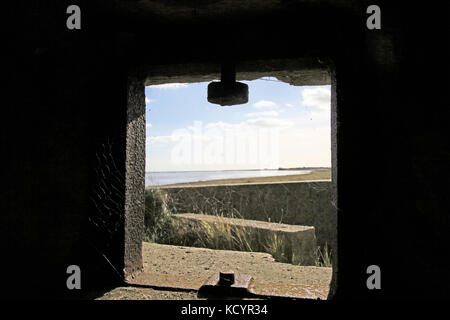Blick vom Bunker des Flusses Erz, Hollesley Sümpfe Feuchtgebiet, Hollesley, Suffolk, England, Großbritannien Stockfoto