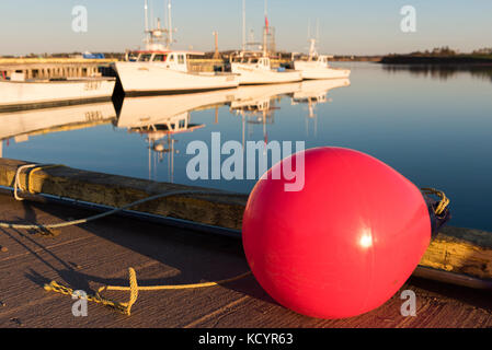 Fischerboote, Boje, Pattaya Hafen, Prince Edward Island, Kanada Stockfoto