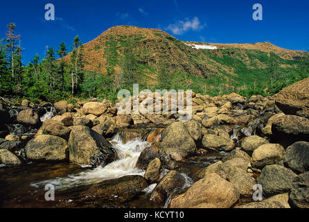 Mountain Stream und die Mont-Albert im Hintergrund, Gaspésie Nationalpark, Gaspé, Québec, Kanada Stockfoto