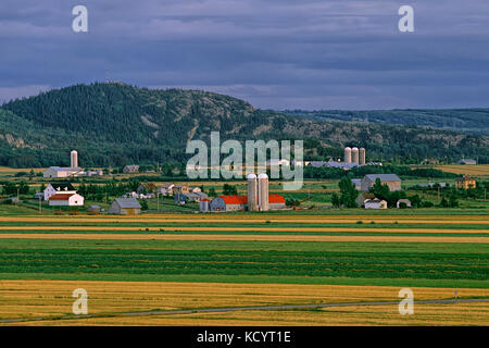 Höfe und Felder am späten Nachmittag Licht, Lower-Saint-Lawrence region, Saint-André de Kamouraska, Québec, Kanada Stockfoto