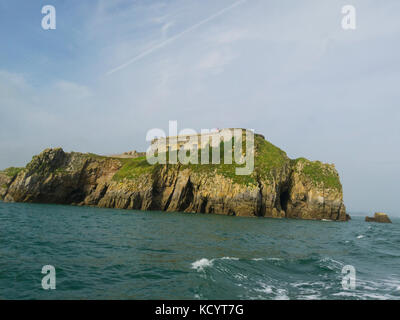 St Catherine's Fort auf St Catherine's Insel gesehen von einem Touristenboot in Carmarthen Bay South West Wales Pembrokeshire. Stockfoto