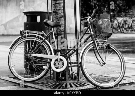 Schwarze und weiße monochrome Portrait von ein Fahrrad gegen einen Baum in Sandnes Norwegen mit einem einkaufskorb am Lenker schiefen Stockfoto