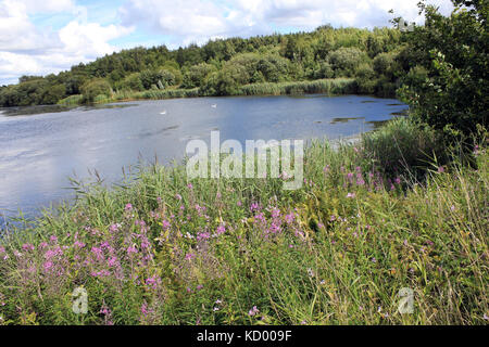 Pearsons Flash - Teil von Wigan blinkt Naturschutzgebiet Stockfoto