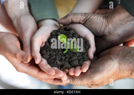 Die Landwirte Familie Hände halten eine frische junge Pflanze, Symbol des neuen Lebens und die Erhaltung der Umwelt Stockfoto