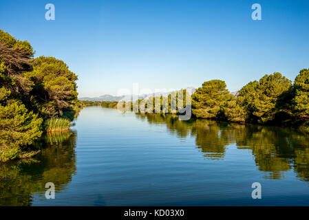 Naturpark s'Albufera Lagune in der Nähe von Alcudia, Mallorca Stockfoto