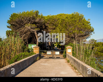 Eingangstor zum Naturpark s'Albufera in der Nähe von Alcudia, Mallorca, Balearen Inseln Stockfoto