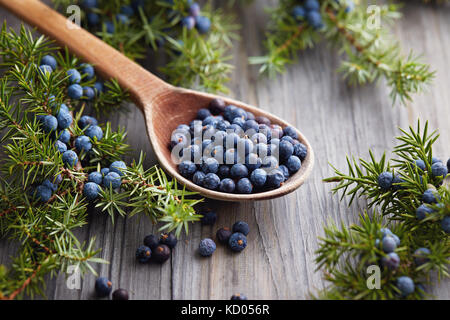 Holzlöffel mit Wacholdersamen. Wacholderzweig mit Beeren. Stockfoto
