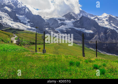 Blick auf den Berg Jungfrau (4158m - 13642 ft) von der Kleinen Scheidegg im Sommer, kein Zug. Kleine Scheidegg, Berner Oberland, Schweiz Stockfoto