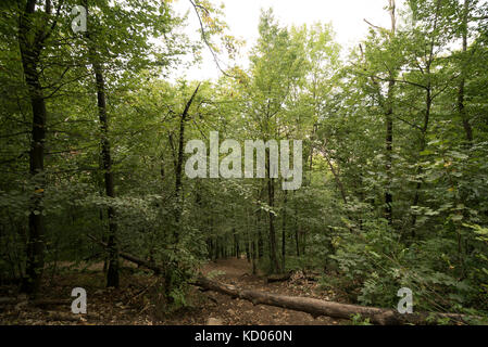 Rumänien, Brasov, Tampa Gipfel und Umgebung Stockfoto