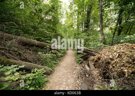 Rumänien, Brasov, Tampa Gipfel und Umgebung Stockfoto