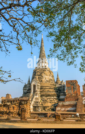 Tempel Wat Phra Si Sanphet in Ayutthaya historischen Park, Thailand Stockfoto