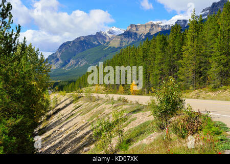 Autobahn durch die kanadischen Rockies entlang des Icefields Parkway zwischen Banff und Jasper Stockfoto