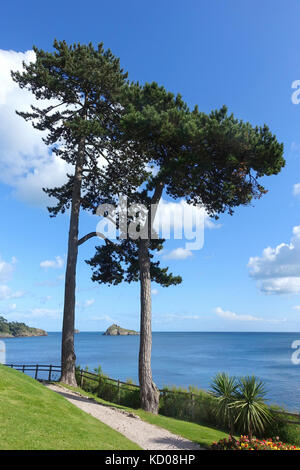 Anzeigen von Tor Bay mit Thatcher Rock auf einem perfekten Sommer am Nachmittag, von dem Gelände der Osborne Hotel, Torquay, oben Meadfoot Beach. Stockfoto