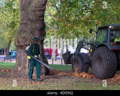 Blatt sammeln in einem herbstlichen St. James Park Stockfoto