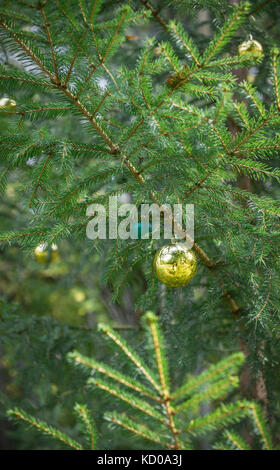 Weihnachtsschmuck hängen von Zweigen der Tanne im Freien Stockfoto