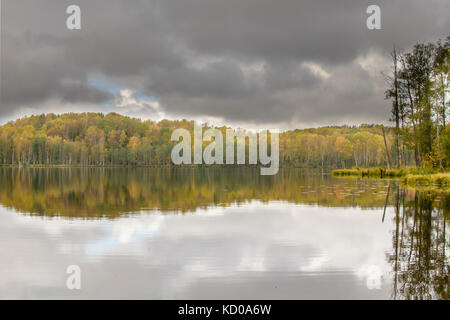 See im Herbst Wald panorama Shot des Tages Stockfoto