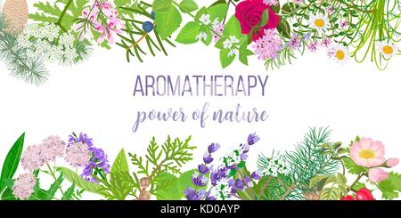 Karte mit ätherischen Öl Pflanzen. Rahmen Ornament mit Text Aromatherapie. Kraft der Natur Stock Vektor