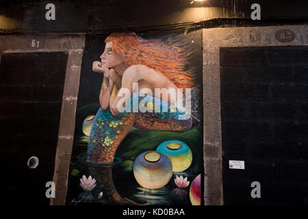 Funchal, Portugal - 14. Juni 2017: berühmte Straße auf Funchal, wo eine Gemeinschaft von Künstlern Urban Art an mehreren Türen gemalt. Stockfoto