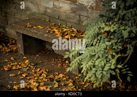 Abgebrochene Bank vor einem kleinen im Herbst Stockfoto