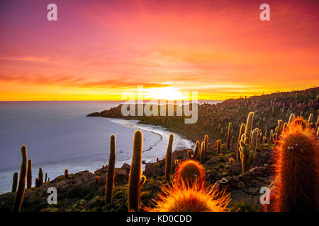 Blick auf den Sonnenaufgang über Uyuni Salzsee von Insel Incahuasi in Bolivien Stockfoto