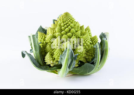 Romanesco Brokkoli Gemüse stellt eine natürliche fraktale Muster und ist reich an vitimans. Erstmals in Italien aus den Brassica ole dokumentiert Stockfoto