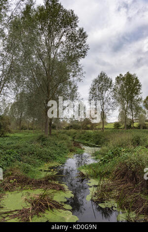 Der Fluss Blackwater seine träge Weise durch die Landschaft von Essex in der Nähe von North Woodstock. Stockfoto