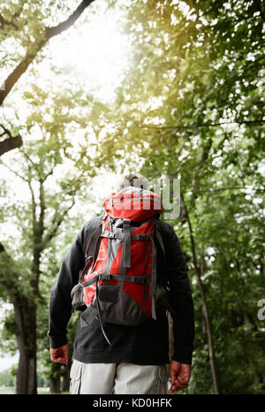 Ältere Menschen auf dem Weg in den Wald, mit Rucksack, Rückansicht Stockfoto