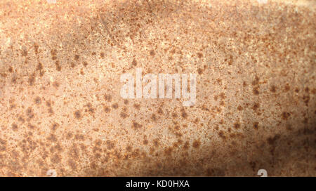 Textur eines alten verrosteten Metall Eisenblech. Ausführliche rost Textur Hintergrund Stockfoto