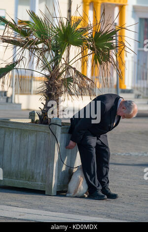 Aberystwyth Wales uk, uk Wetter Sonntag, 08. Oktober 2017: Ein Mann und sein Hund am Meer in Aberystwyth Wales in herrlich warmen und sonnigen Herbst sundayafternoon Photo Credit: Keith Morris/alamy leben Nachrichten Stockfoto