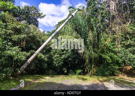 Bäume und elektrische Stromleitungen nach starken tropischen Sturmwind Beschädigung in der Nähe von El Valle de Anton, Panama. Credit: Urs Hauenstein/alamy leben Nachrichten Stockfoto