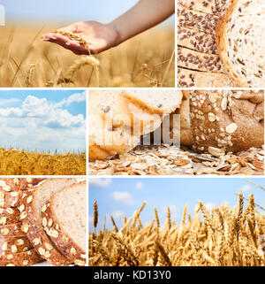 Collage aus Weizen und Brot Stockfoto